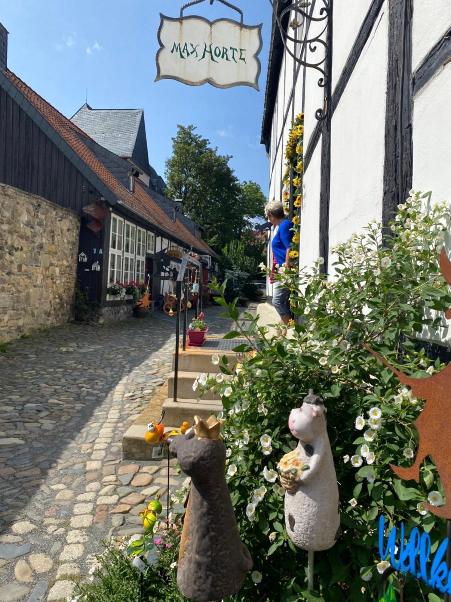 Fewo Georgenberg Goslar Exterior foto